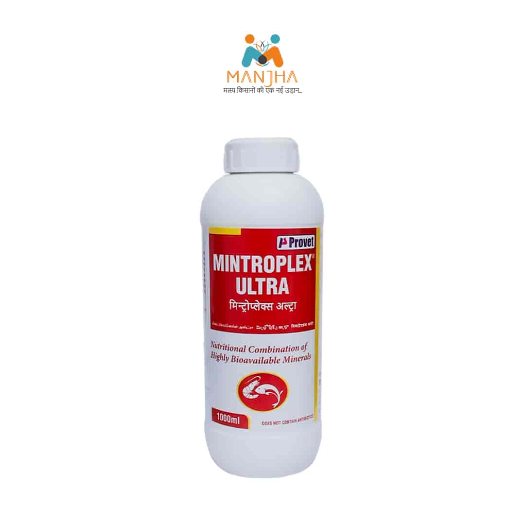 Mintroplex Ultra Fish Feed Supplement