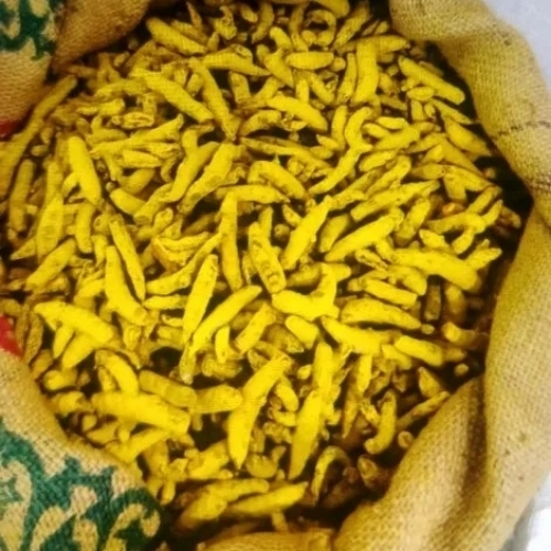 Turmeric
