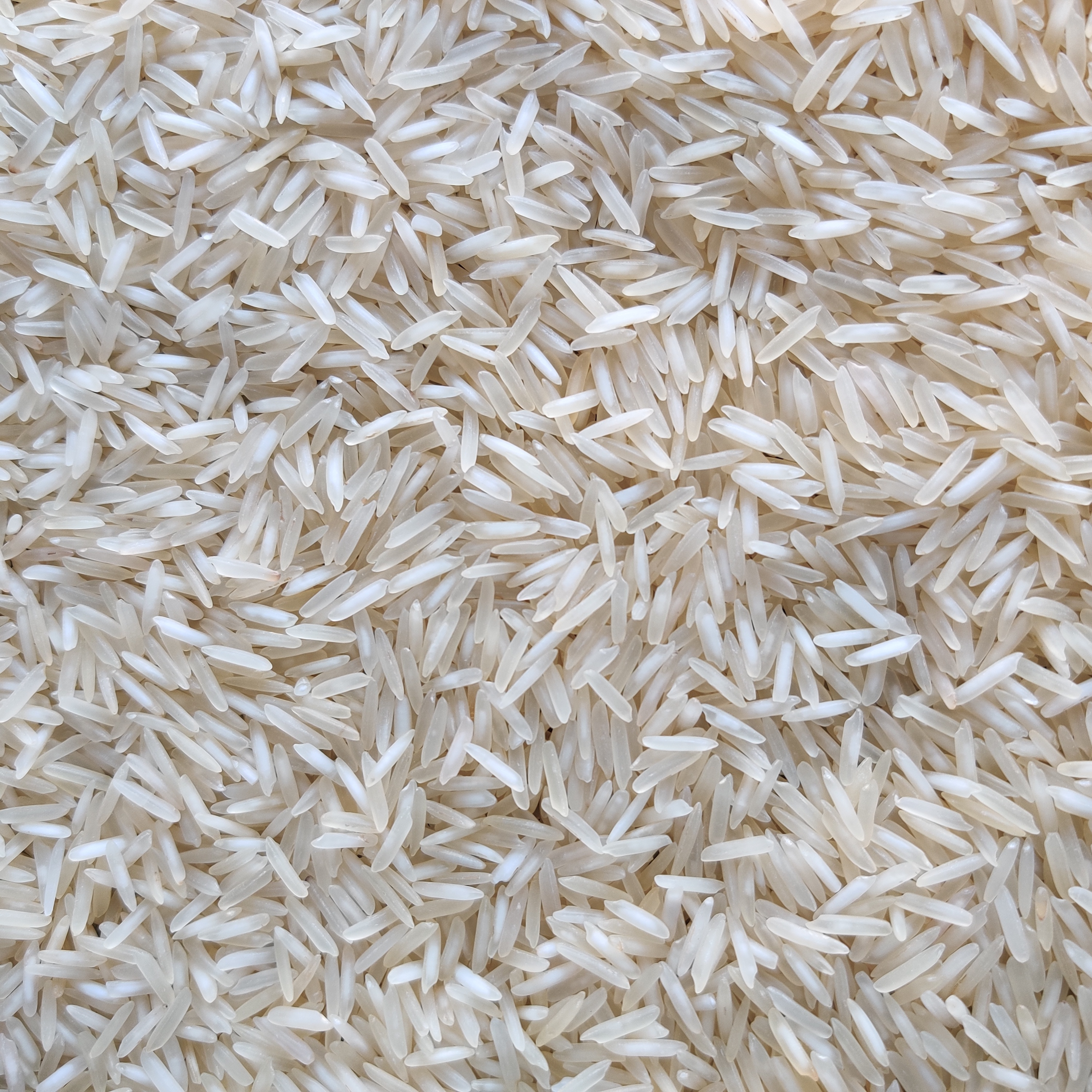 1401 Sella Basmati Rice - Admixture (%): 5-10%