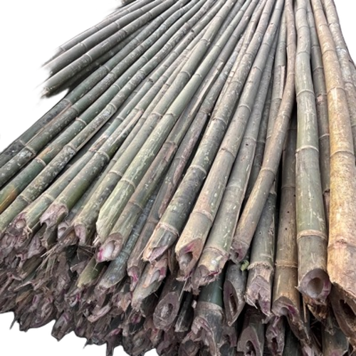Bamboo Poles