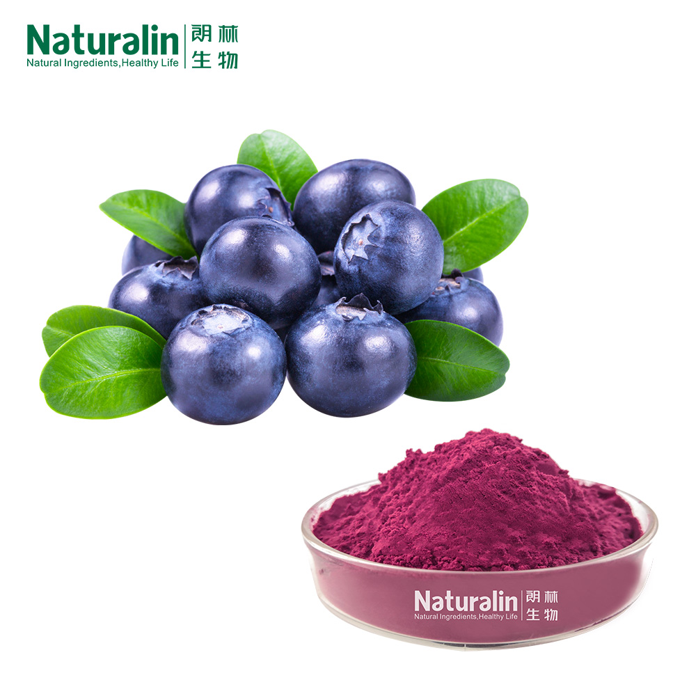 Blueberry Powder - Shelf Life: 2 Years