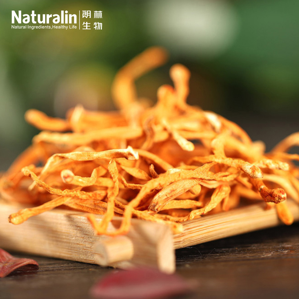 Cordyceps Militaris - Age Group: Suitable For All