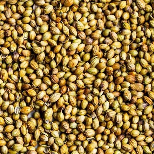 Dried Coriander
