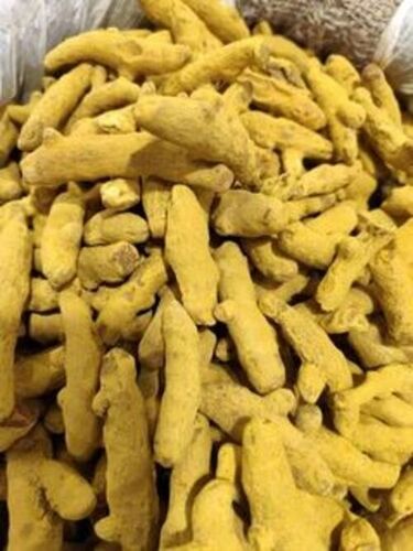 Dried Turmeric Finger