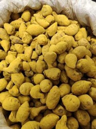Dry Turmeric Bulb