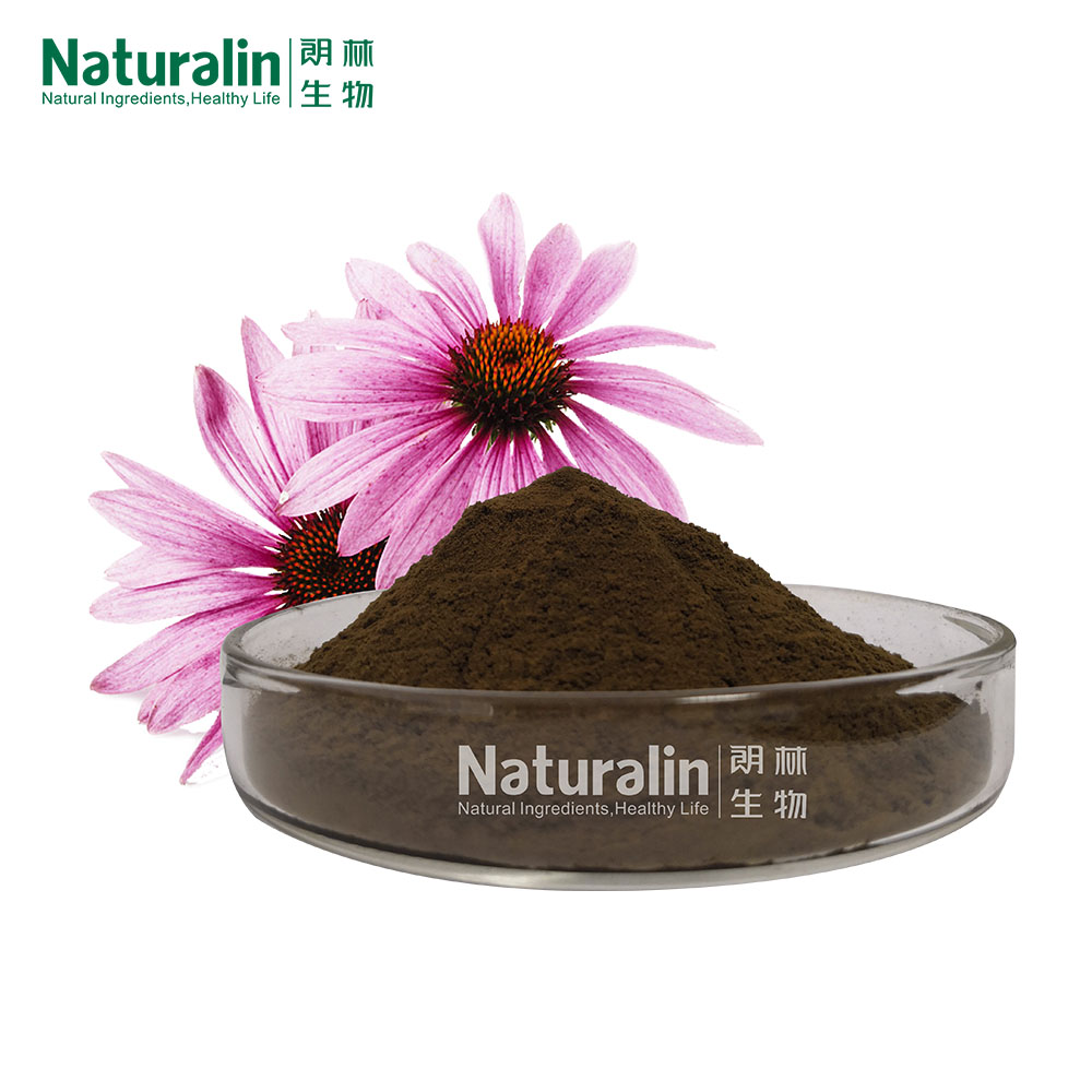 Echinacea Extract - Ingredients: Polyphenols / Cichoric Acid