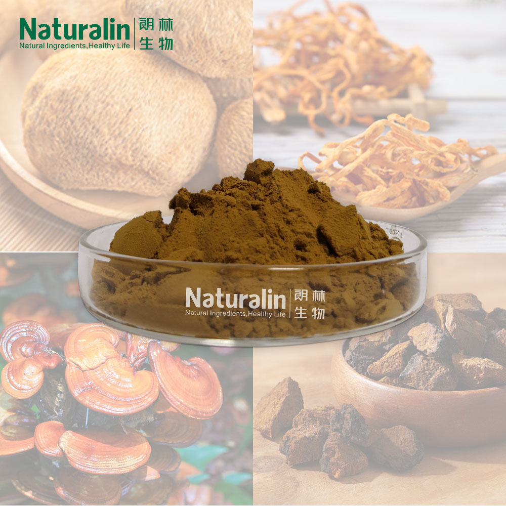 Mushroom Powder Blend - Style: Dried