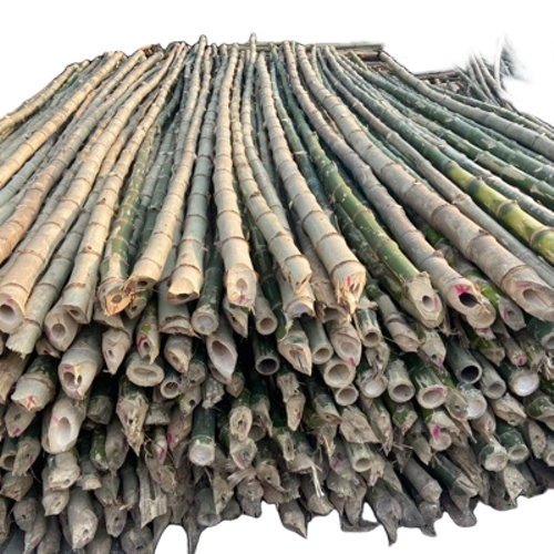Natural Bamboo Poles