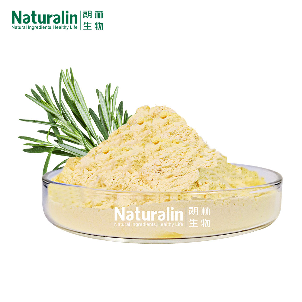 Rosemary Extract - Ingredients: Rosmarinic Acid / Carnosic Acid