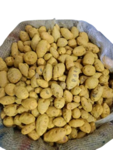 Turmeric Bulb
