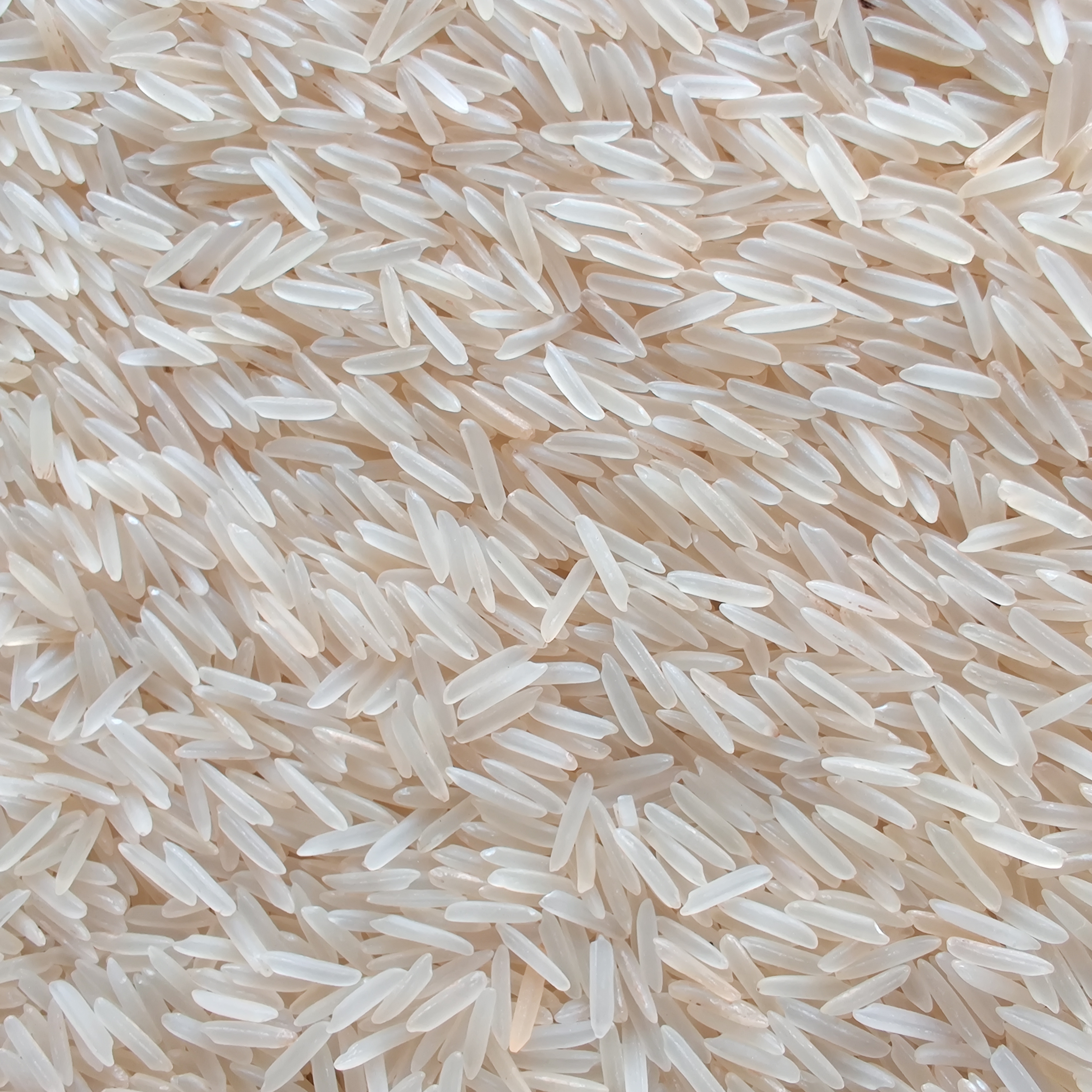 1509 Sella Basmati Rice