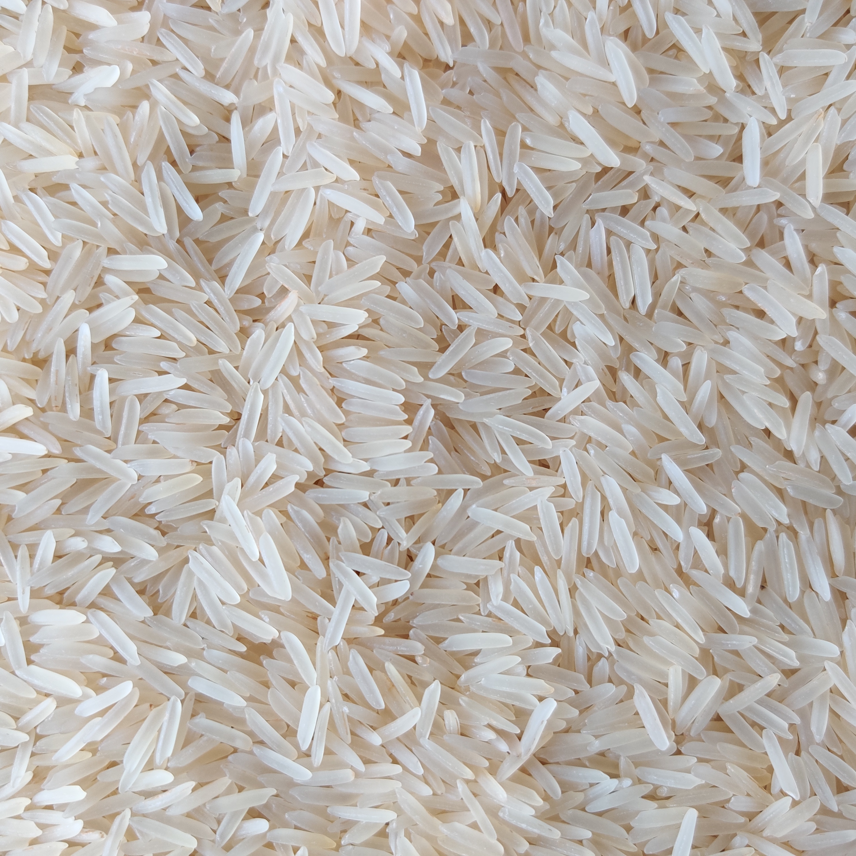 1718 Creamy Sella Basmati Rice - Admixture (%): 5-10%