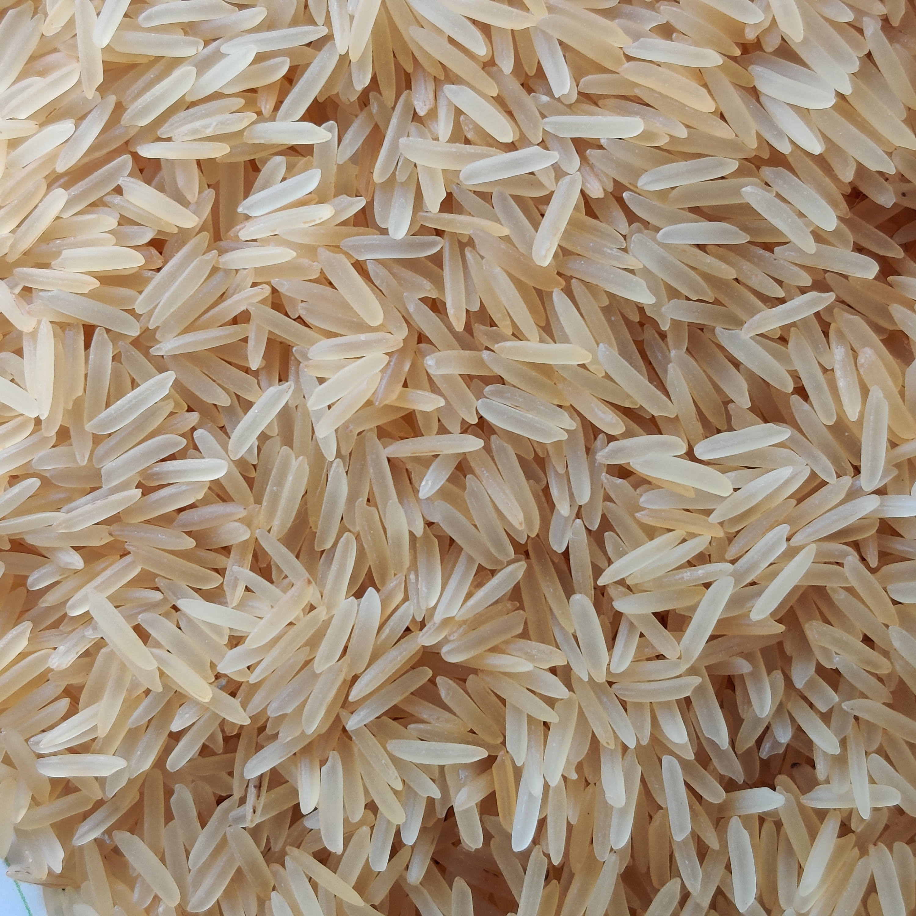 1718 Golden Sella Basmati Rice - Admixture (%): 5-10%