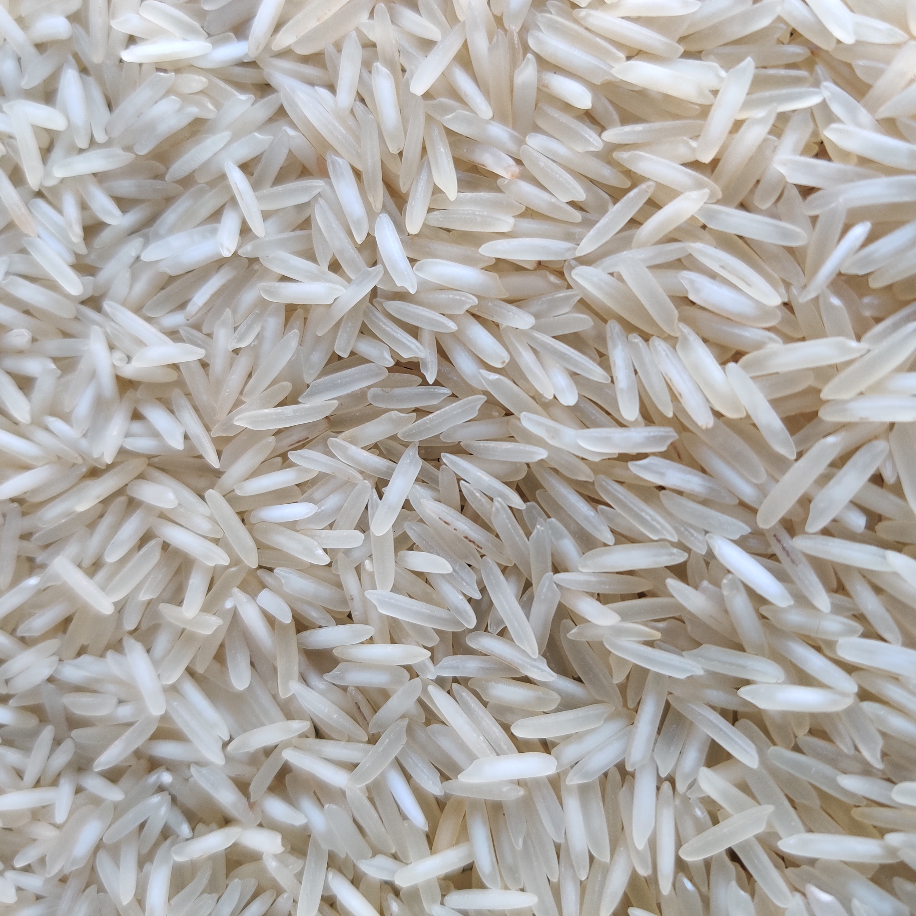 1718 Steam Basmati Rice By Indiafeast Millers Private Limited