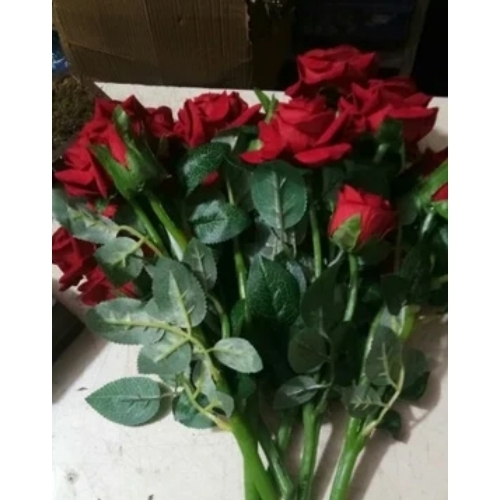 red rose