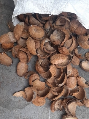 Coconut Shell