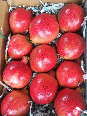 Fresh Pomegranates