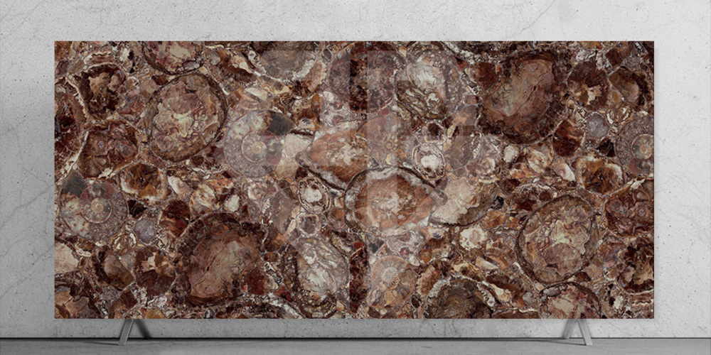 Petrified Wood Stone Slab