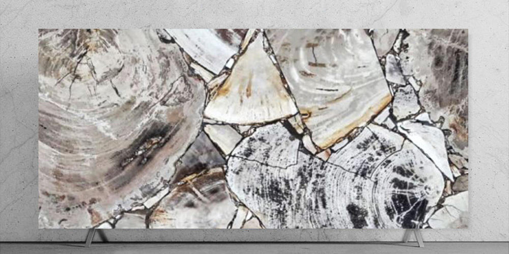White Petrified Wood Slab Stone