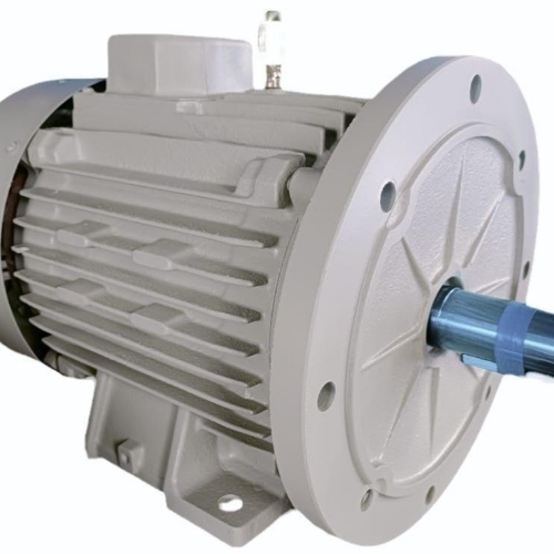 Foot Flange Motor