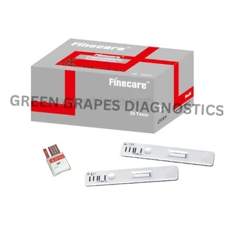 Vitamin B12 Rapid Quantitative Test