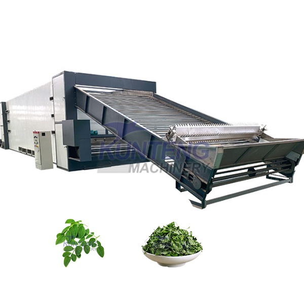 Moringa Leaves Mesh Belt Dryer - Color: Customized
