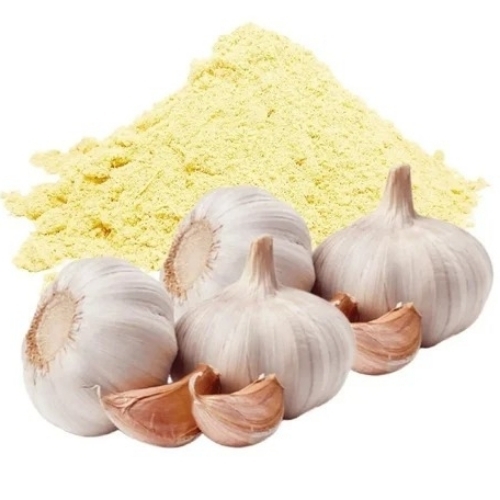 Herbal Garlic Powder Extract