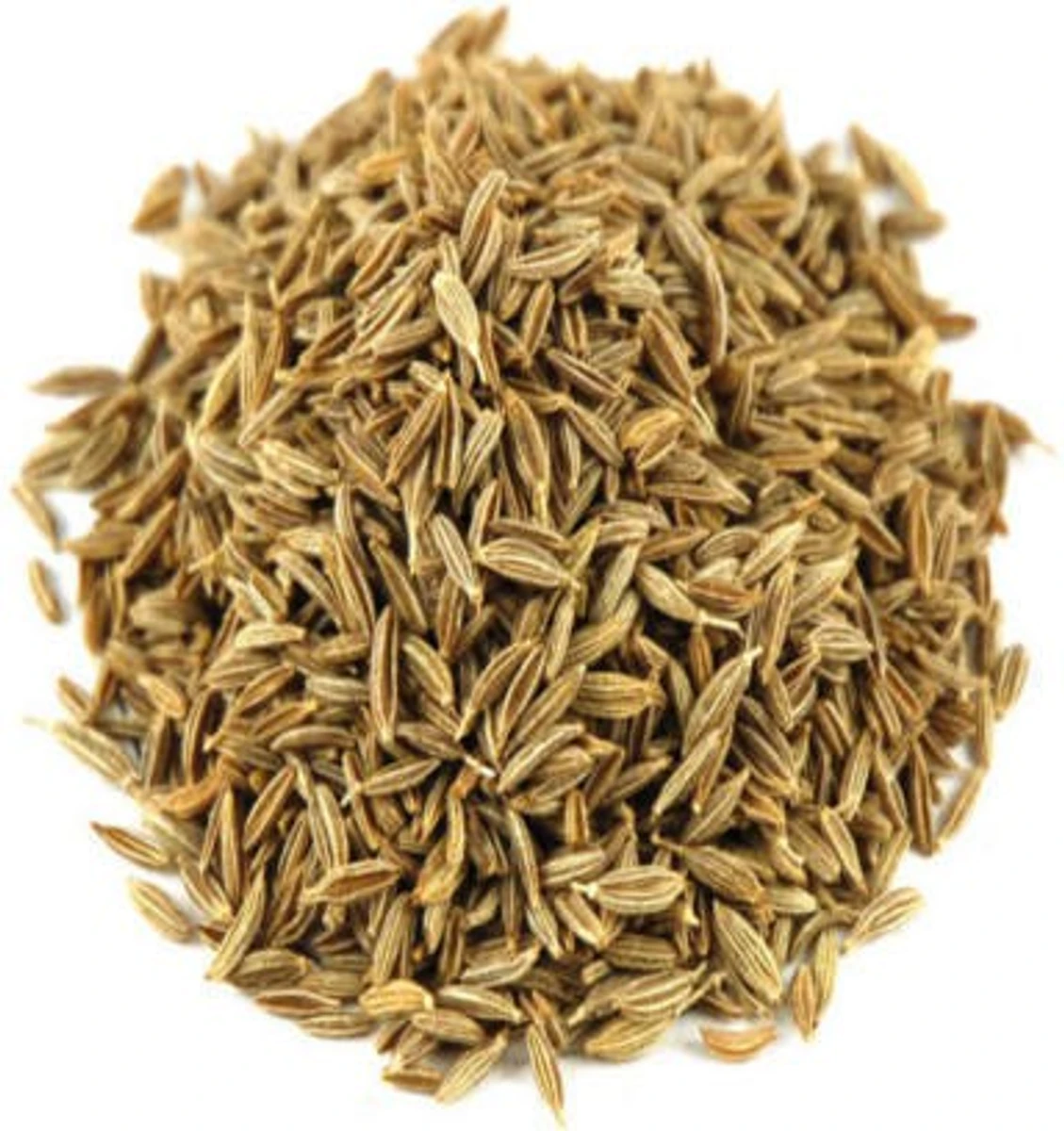 Cumin Seed