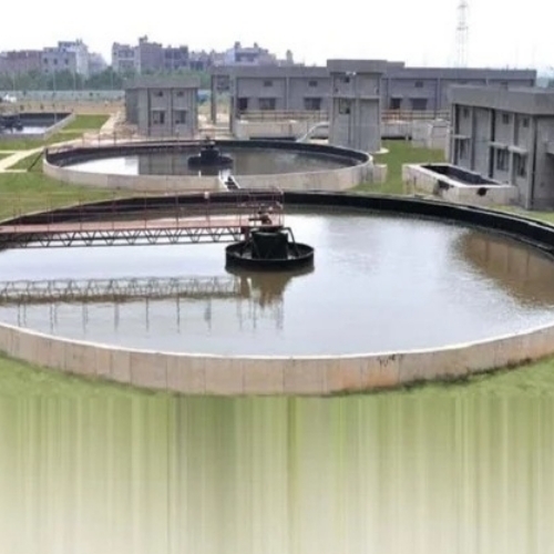 Industrial Sewage Treatment Plant