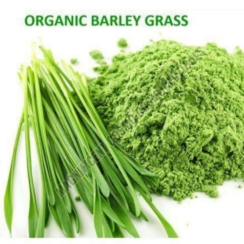 Barley Grass Powder