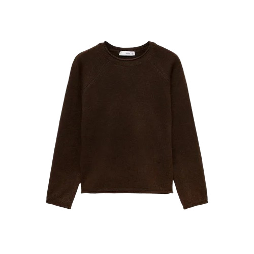 Brown Women Sweater