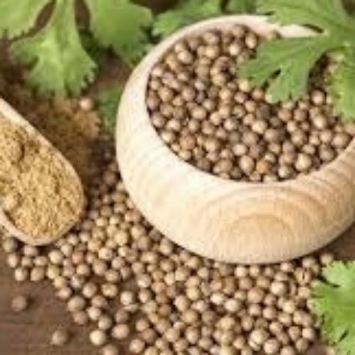 Coriander By Sidhivinayak Trading