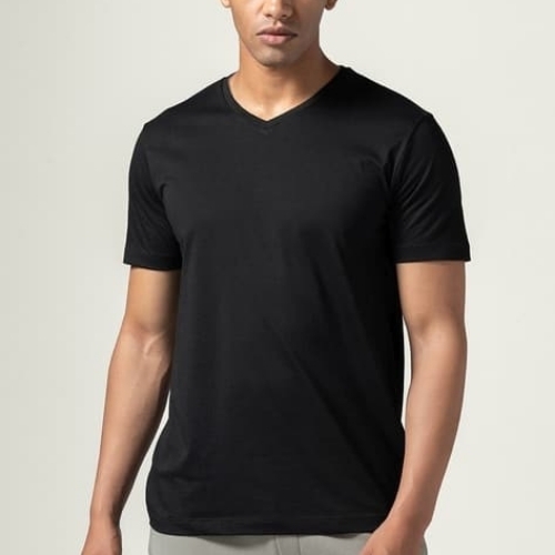 Mens V Neck T Shirt