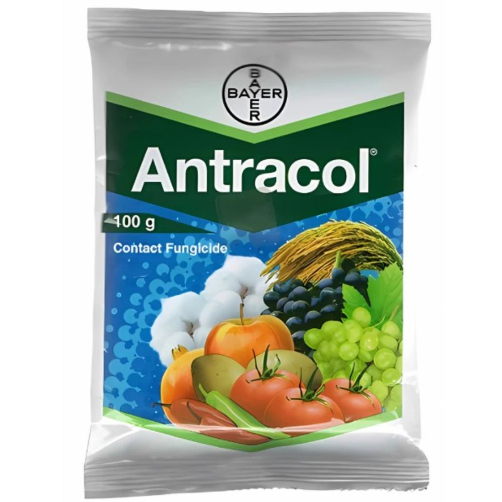 Antracol Propineb 70% WP Fungicides