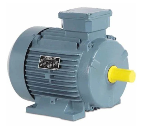 Flour Mill Electric Motor