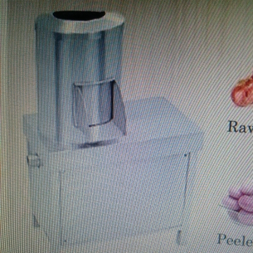 Wet onion peeling machine