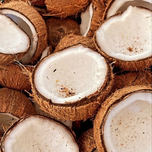 Coconut Copra