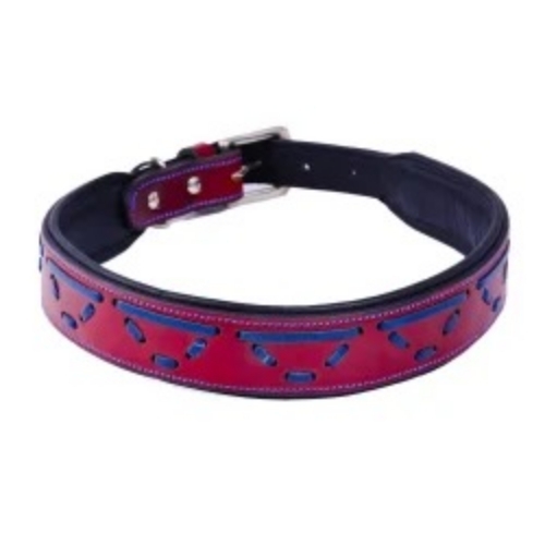 Multi Color Dog Collar