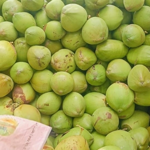 Raw Tender Coconut