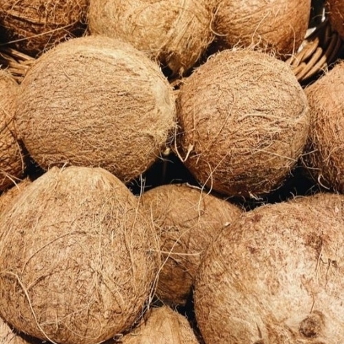 Semi Husked Coconut