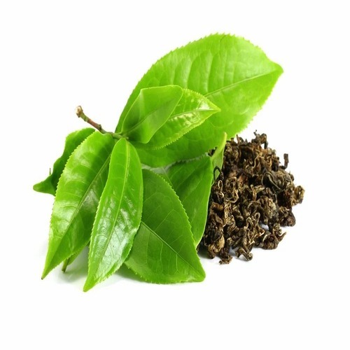 Green Leaves Tea