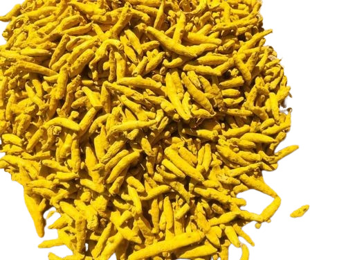Dried Turmeric Finger