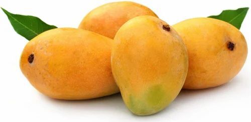Yellow Alphonso Mango