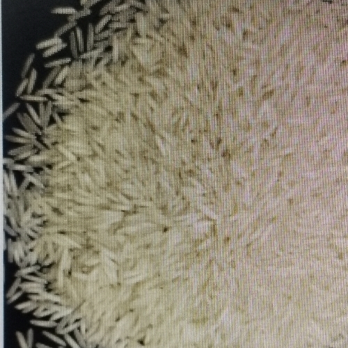 1121 Basmati Rice