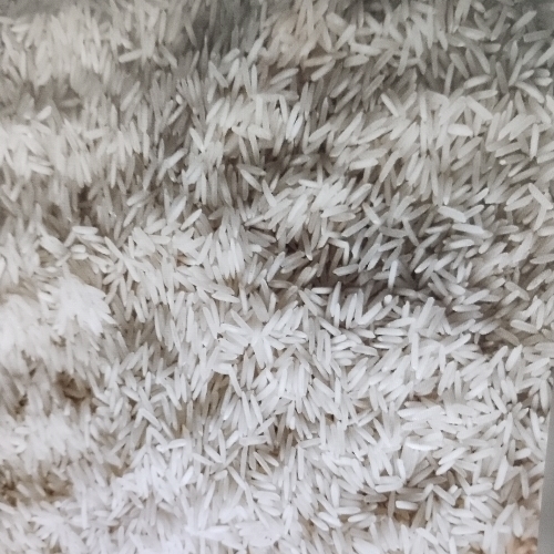 Creamy White Wamma International Basmati Rice