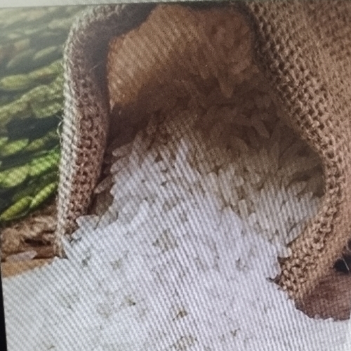 Sona Mansoori Basmati Rice