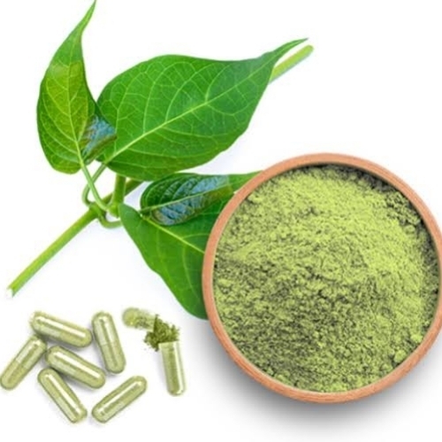 Gymnema Sylvestre Extract
