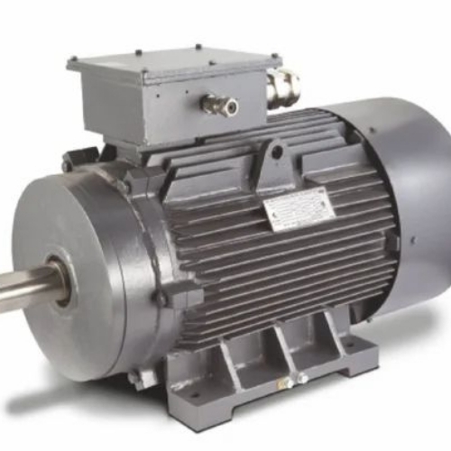 Industrial Electric Motor