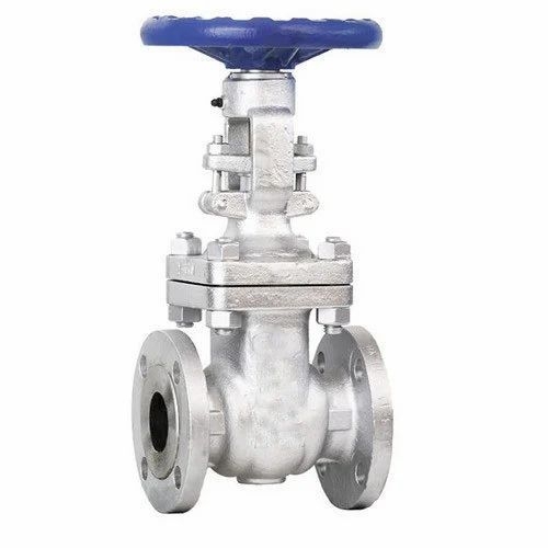 Stainless Steel Flanged Gate Valve
