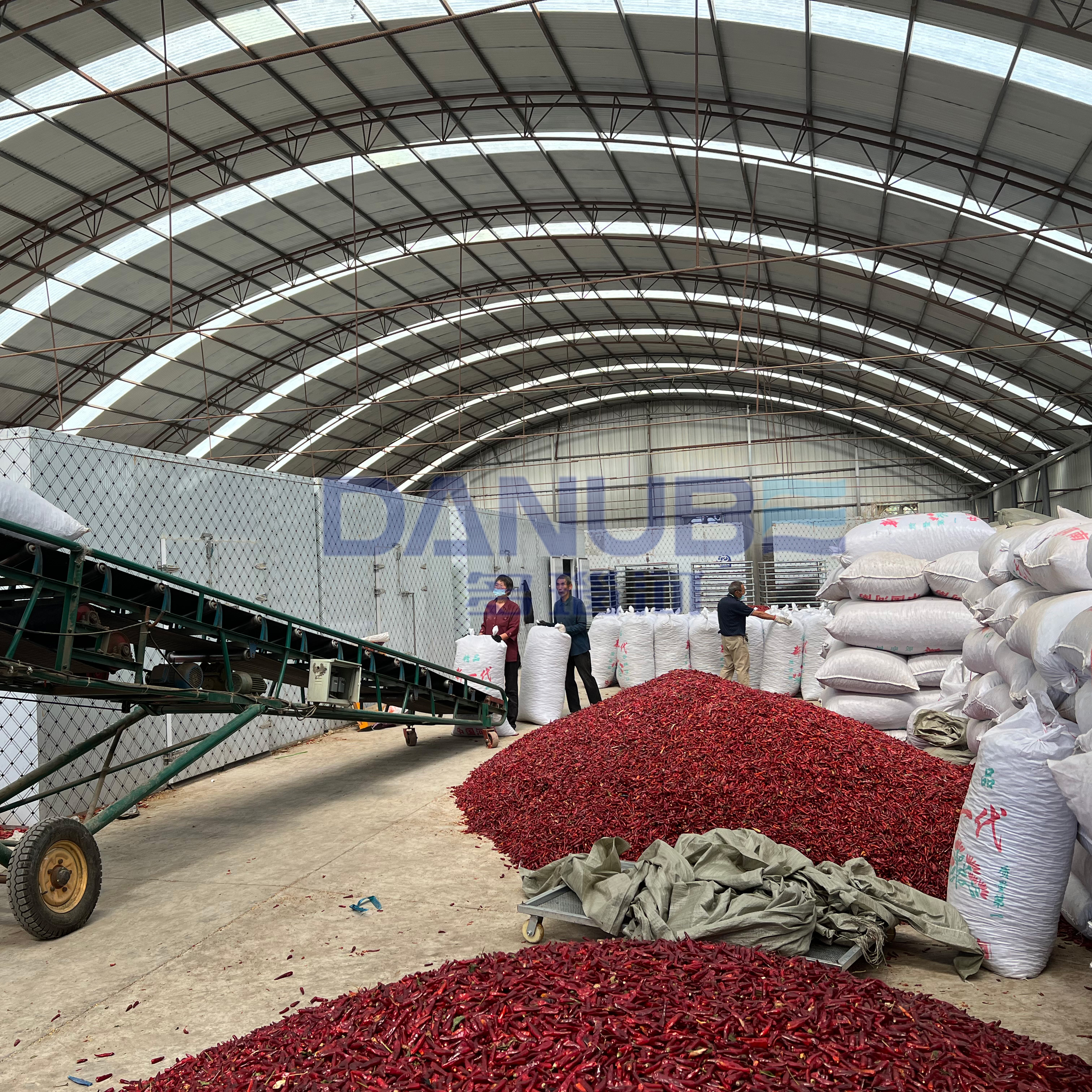 Chili Drying Oven Room Box Type Chili Dryer Chili Dehydrator Processing Equipment - Capacity: Customized Kg/Hr
